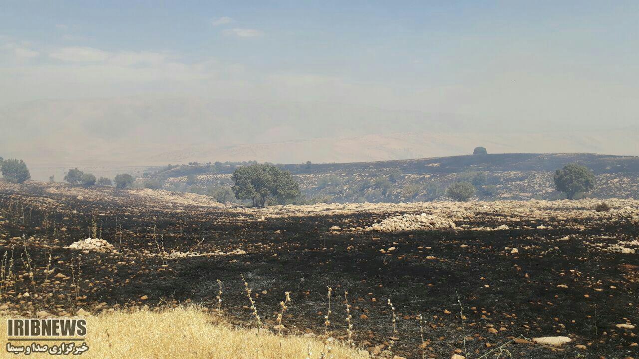 مهار آتش سوزی در ارتفاعات مله نی شهرستان گیلانغرب