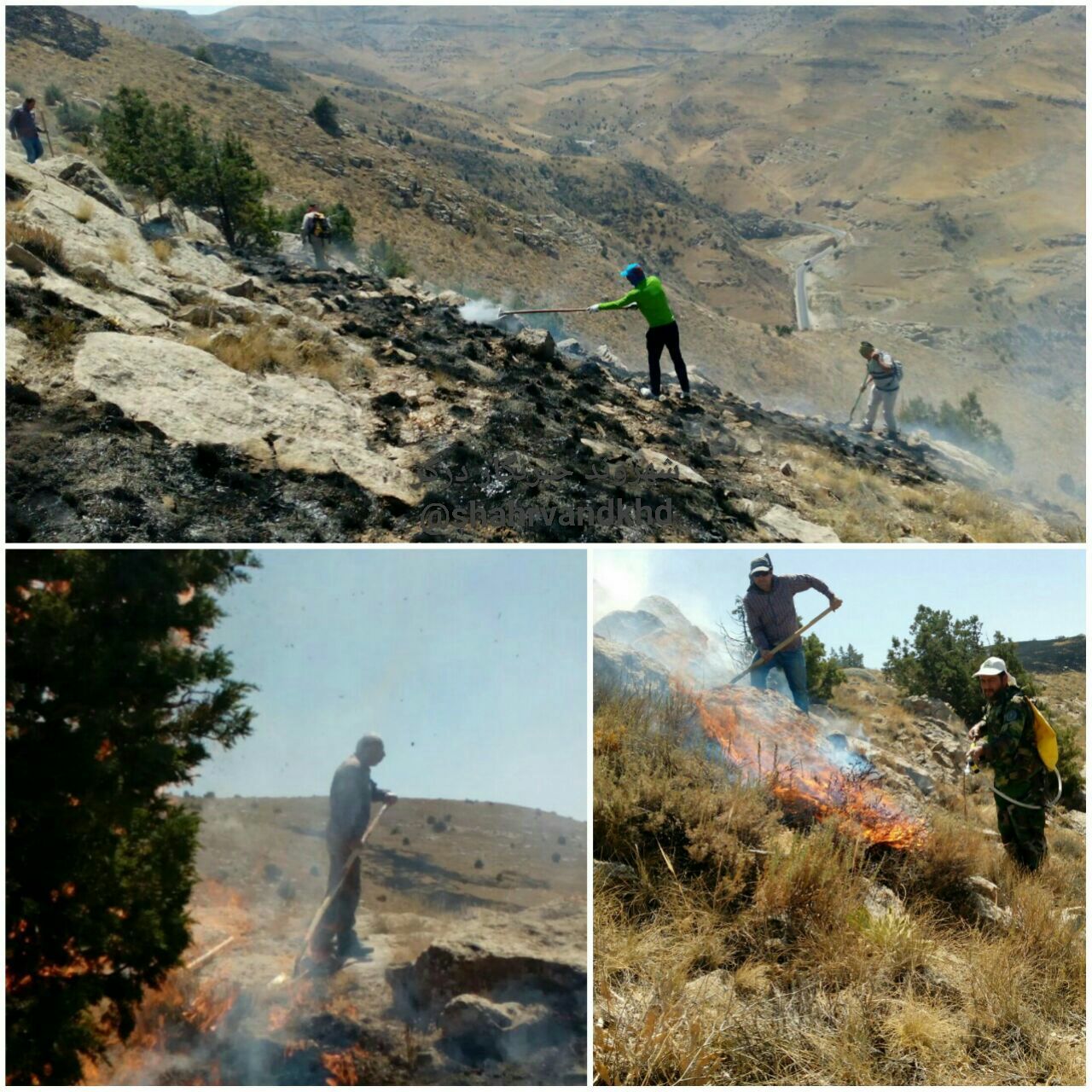 آتش سوزی عمدی 25 هکتار از اراضی پارک ملی تندوره