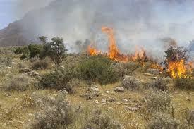 مهار آتش در 25 هکتار از مراتع تکاب