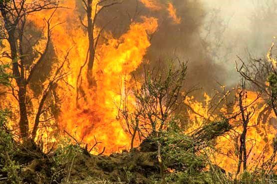 کاهش 80 درصدی آتش‌سوزی مراتع  در استان مرکزی