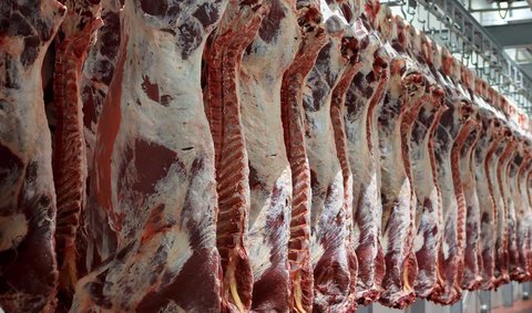 اعلام قیمت گوشت در استان