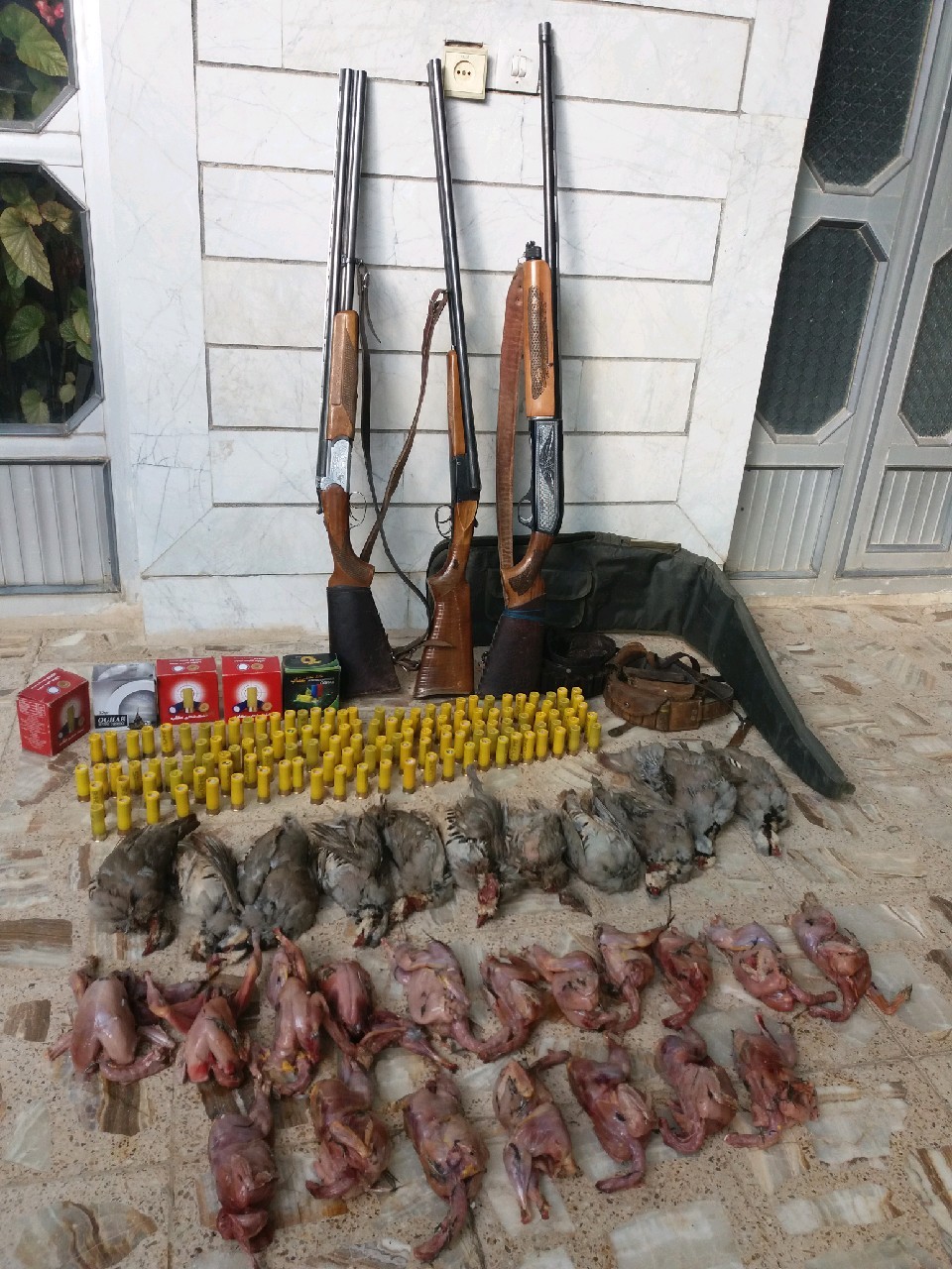 دستگیری سه شکارچی به همراه لاشه 29 کبک وحشی