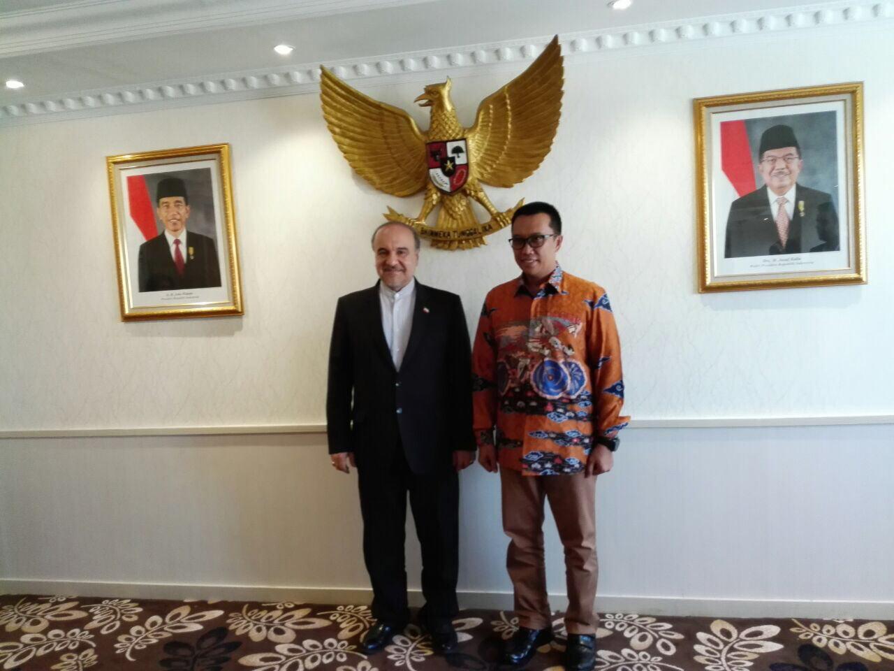 دیدار سلطانی‌فر با وزیر ورزش اندونزی