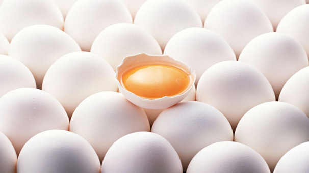 افزایش سرانه مصرف تخم مرغ به ۱۹۸ عدد با اقدامات ترویجی