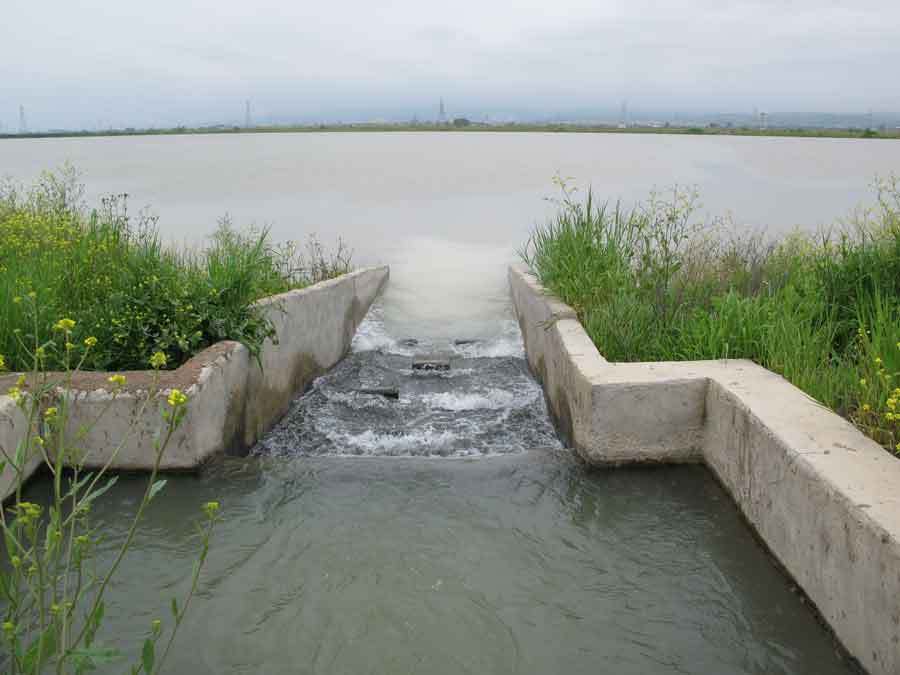 اجرای طرح بهسازی ۲۴ هزار هکتار آب بندان در ۳ استان شمالی