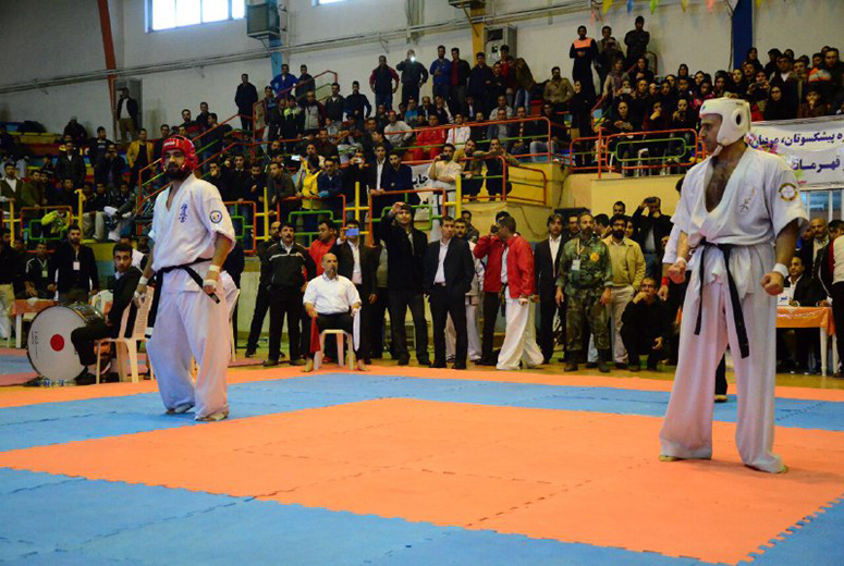 مبارزه ۱۴۳ کاراته کا در سبک‌های آزاد