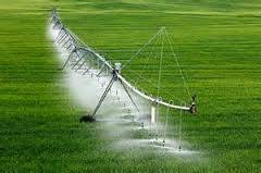 سالانه ۶ درصد در بهره وری آب کشاورزی افزایش داریم