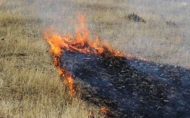 کاهش آتش‌سوزی مراتع در شیراز