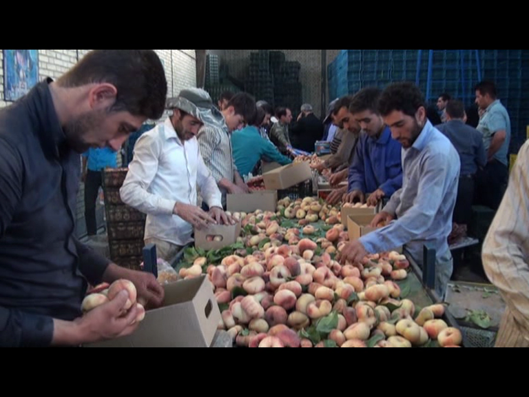 افتتاح کارگاه بسته بندی محصولات کشاورزی در شبستر