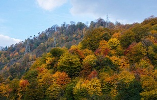 وزش باد گرم و هشدار آتش سوزی جنگل‌ها