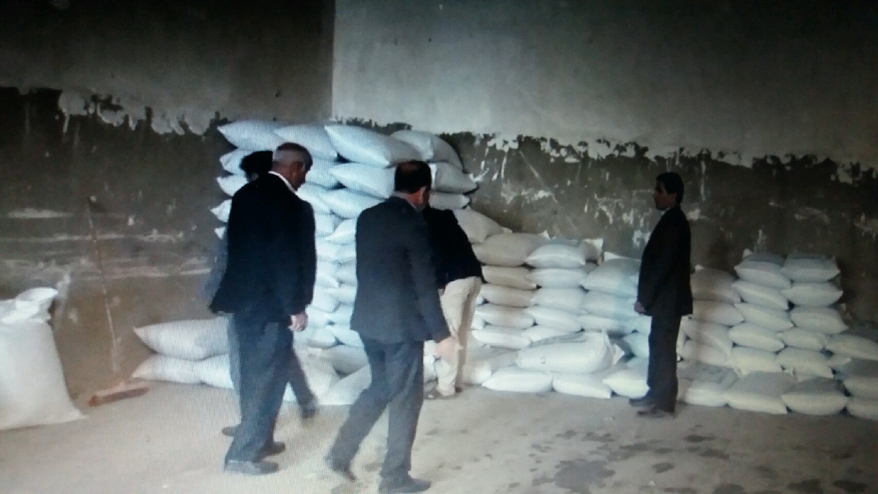 توزیع ۲۵ تن بذر اصلاح شده گندم در شهرستان بهمئی 