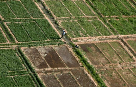 افزایش 5.5 میلیون تنی تولیدات کشاورزی خوزستان