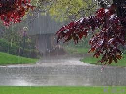بارش ۴۱ ملیمتری باران در امیرآباد بابکان