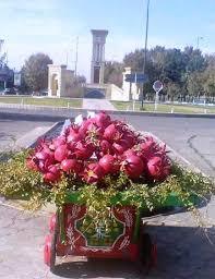 فردا؛ دوازدهمین جشنواره ملی انار نادری بادرود