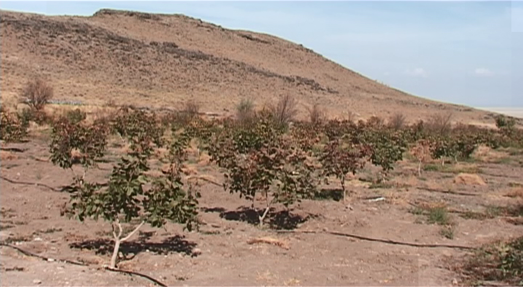 صرفه جویی چشمگیر آبی با روش فیلتر سنگریزه ای