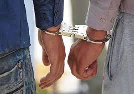 دستگیری 2 متخلف شکار در زاوه