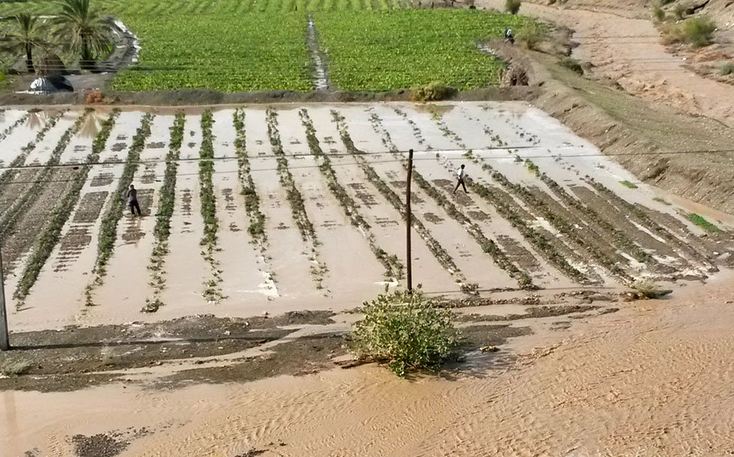 خسارت بارندگی و تگرگ به کشاورزی شوش