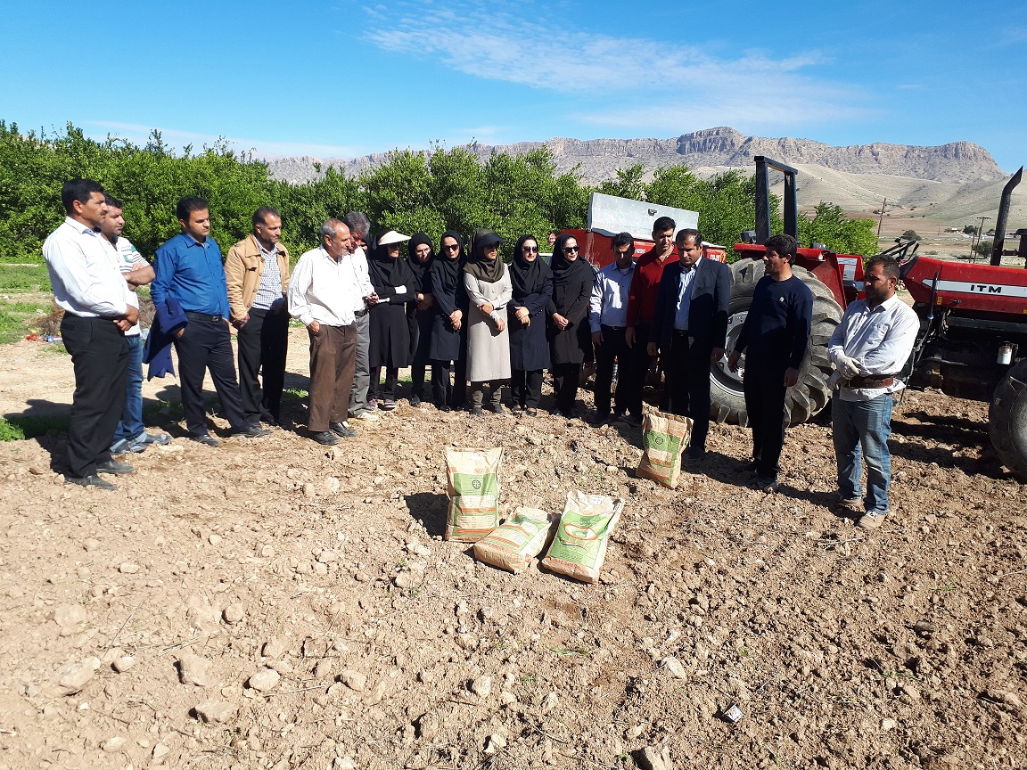 برگزاری دوره آموزشی مهارت افزایی کشاورزی در باشت