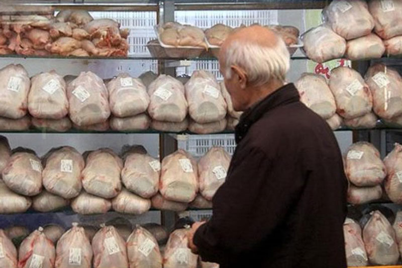صادرات علت افزایش قیمت مرغ در بازار فارس