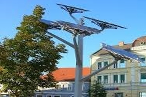 نخستین درختان خورشیدی کشور در اراک