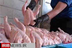 کاهش قیمت مرغ در شهرستان پیشوا