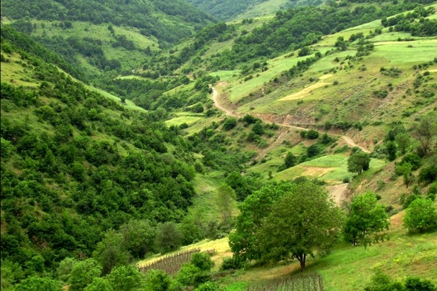 استفاده از نیروهای محلی برای حفاظت از منابع طبیعی