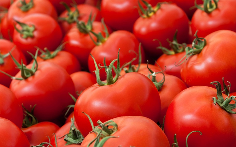 کاهش نسبی قیمت گوجه فرنگی