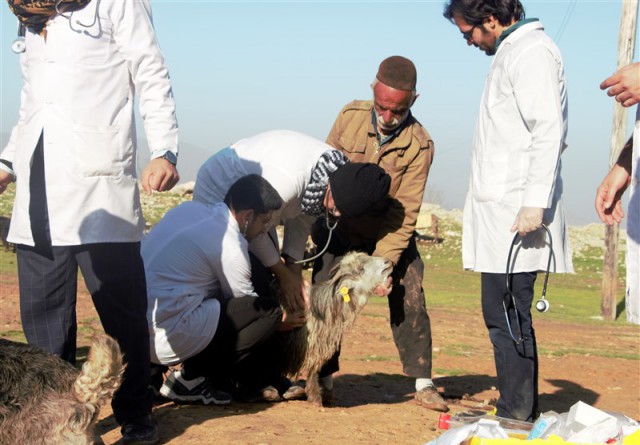 دامپزشکان امداد رسان در لرستان و خوزستان