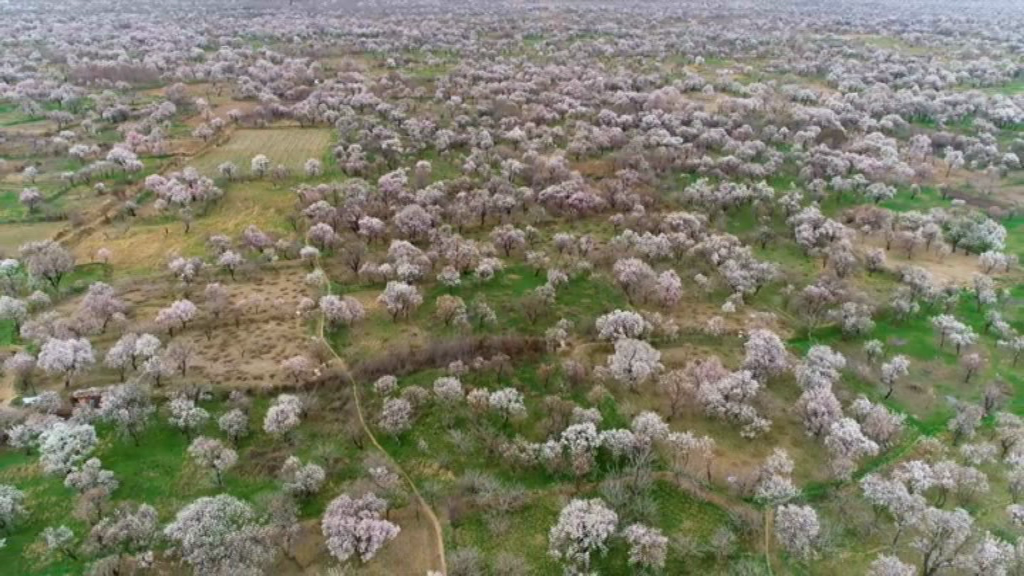 باغستان مهمترین حلقه حفاظت قزوین در برابر سیل اخیر