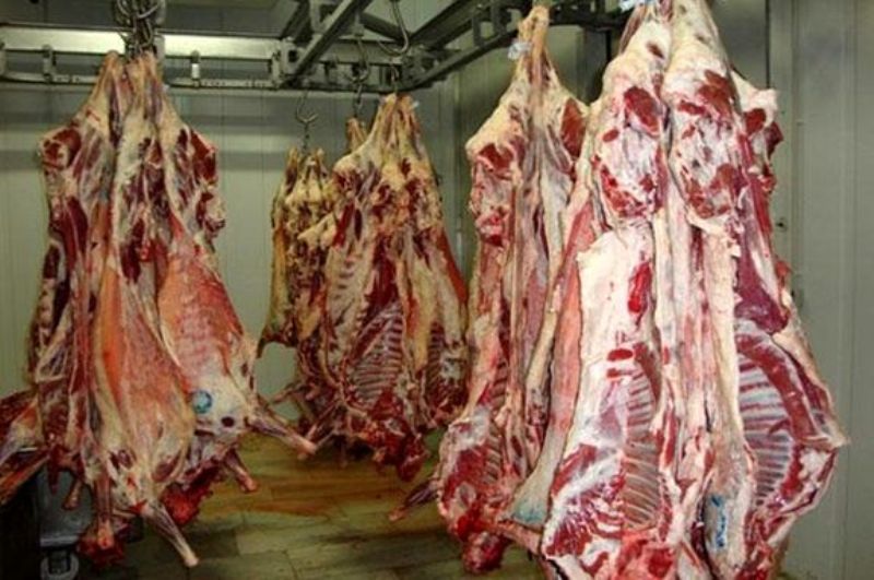 توزیع 8 تن گوشت گرم گوسفندی، فردا در بیرجند