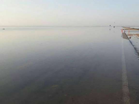 بازگشایی جاده ساحلی بوشهر - گناوه