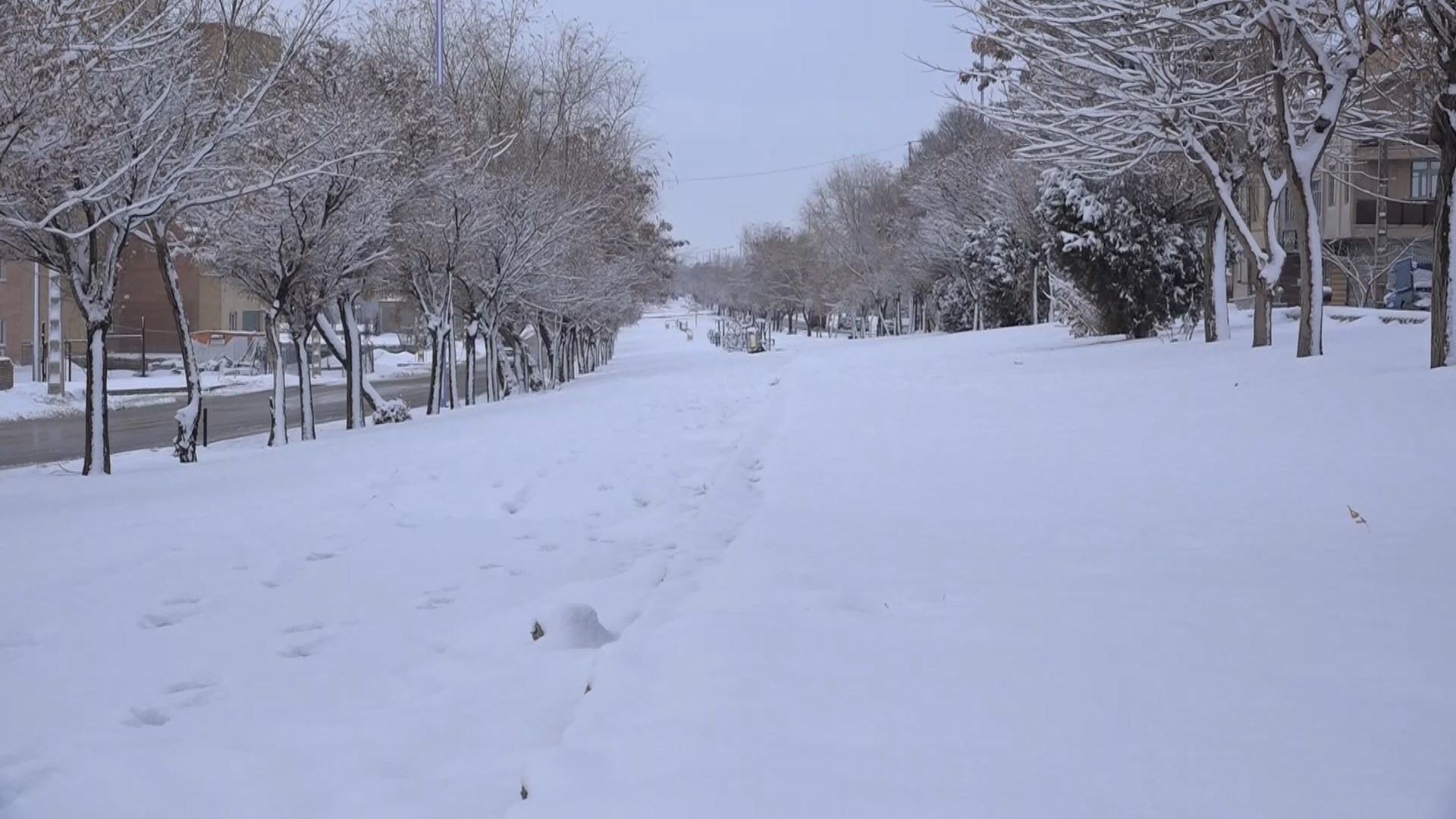 سفید پوش شدن شهرستان فریدن در اثر بارش برف