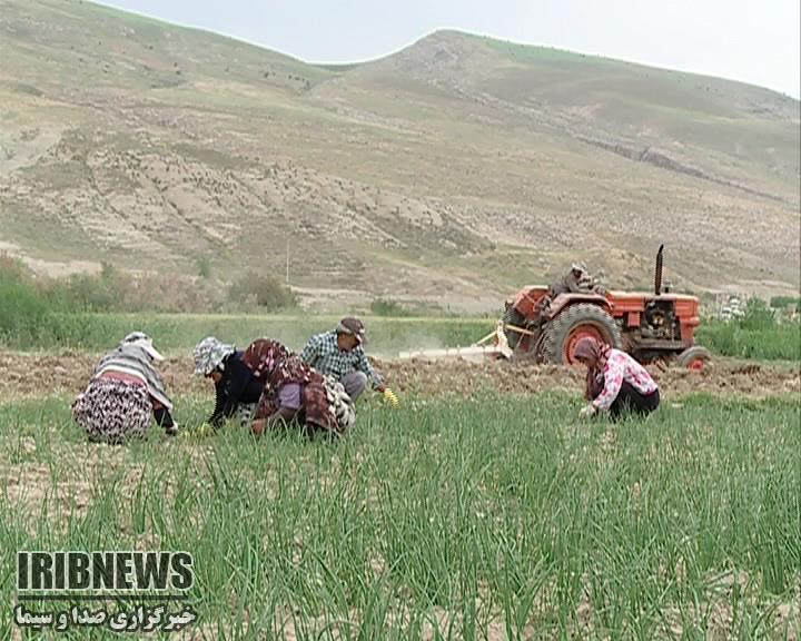 مکانیزاسیون مانه و سملقان، پیشرفته تر از میانگین کشوری