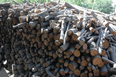 افزایش 10 درصدی کشف چوب بلوط قاچاق در استان