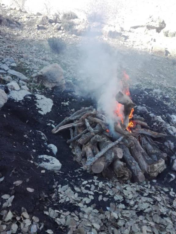 با تلاش ماموران یگان حفاظت منابع طبیعی شهرستان ممسنی