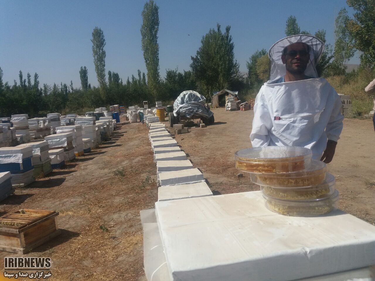 تولید بیش از ۳.۵ تن فراورده عسل در خراسان جنوبی