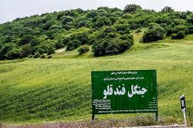 کاهش تخریب مراتع و جنگل‌ها در استان اردبیل