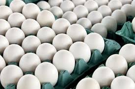 افزایش صادرات تخم مرغ از استان مرکزی