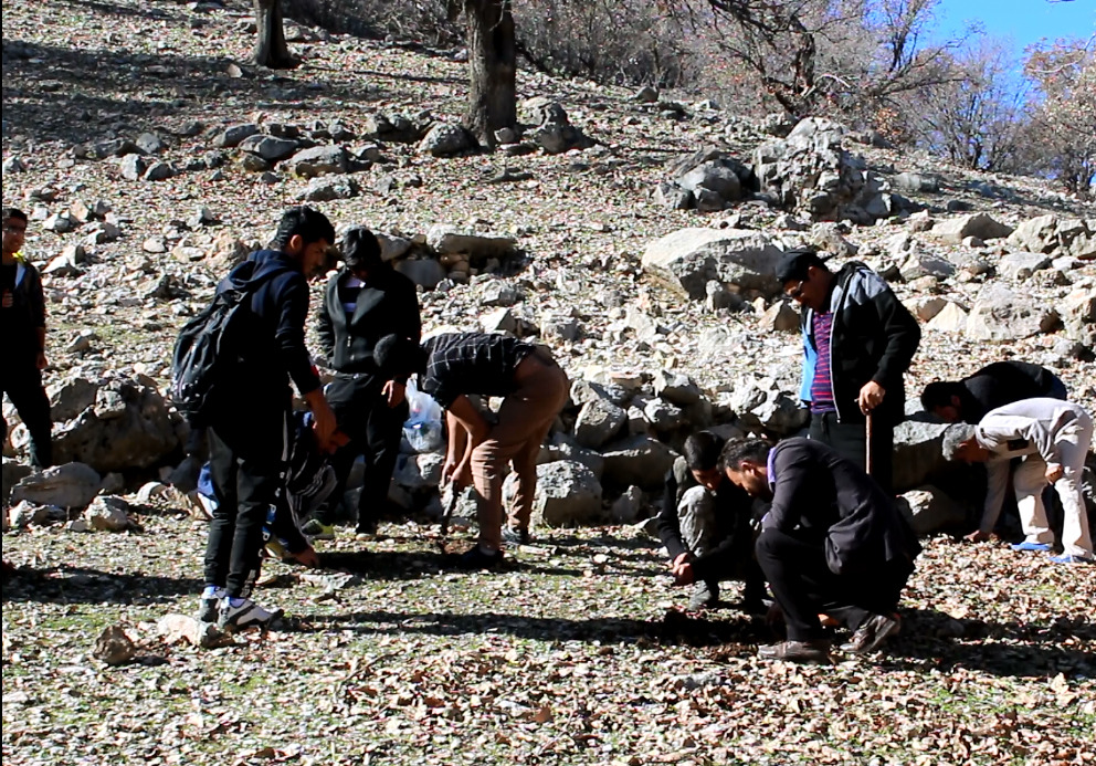 کاشت نهال توسط بسیجیان درقالب اردوی جهادی