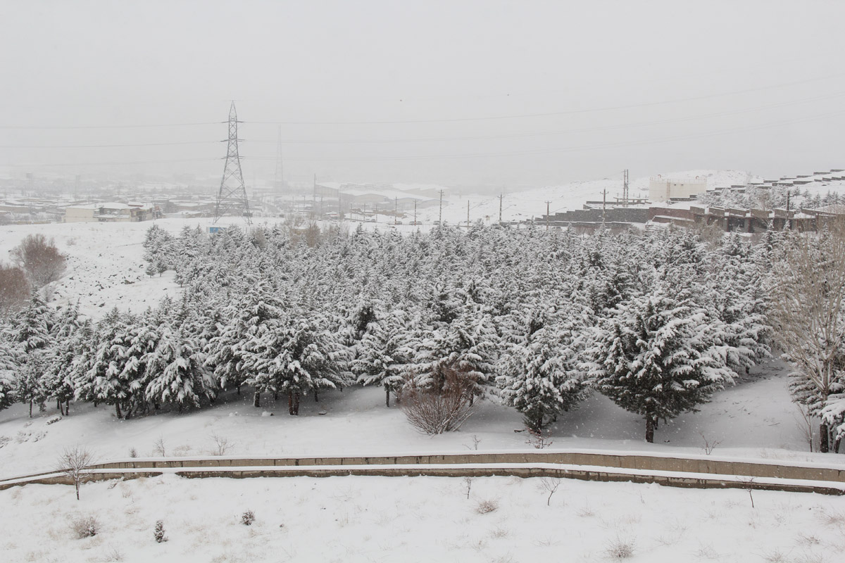 برف به زنجان می‌رسد