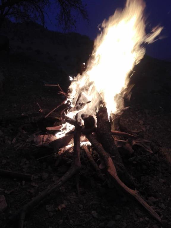 امحاء کوره‌های ذغالی غیر مجاز در اراضی جنگلی شهرستان ممسنی