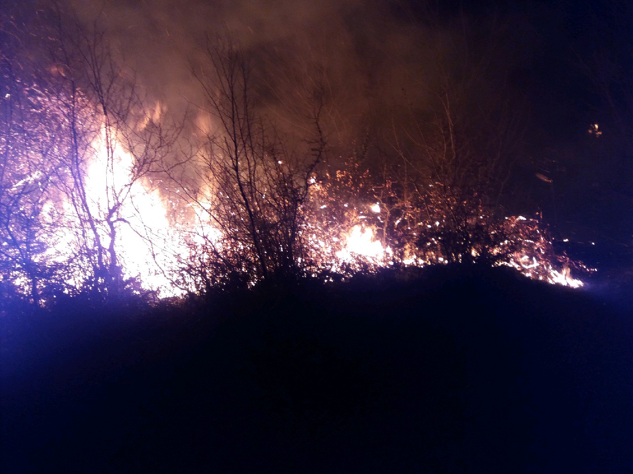 مهار آتش سوزی جنگل‌های ۱۱ شهرستان گیلان