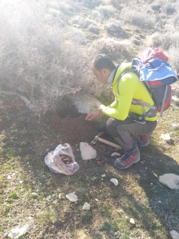 در راستای حفاظت از اراضی جنگلی در کوار