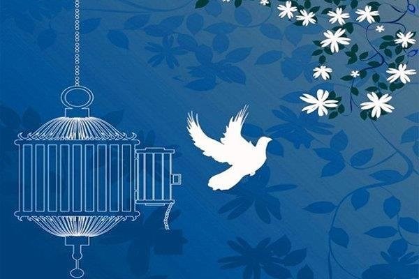 آزادی ۹ زندانی در جشنواره دانش آموزی نفس در قفس