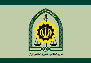 دستگیری دو برادر به جرم تخریب رستورانی در غرب تهران