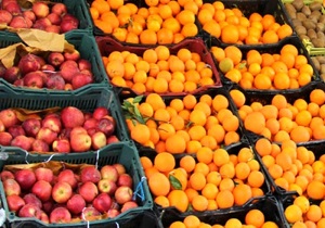 خرید حدود دوهزار تن میوه شب عید در استان قزوین