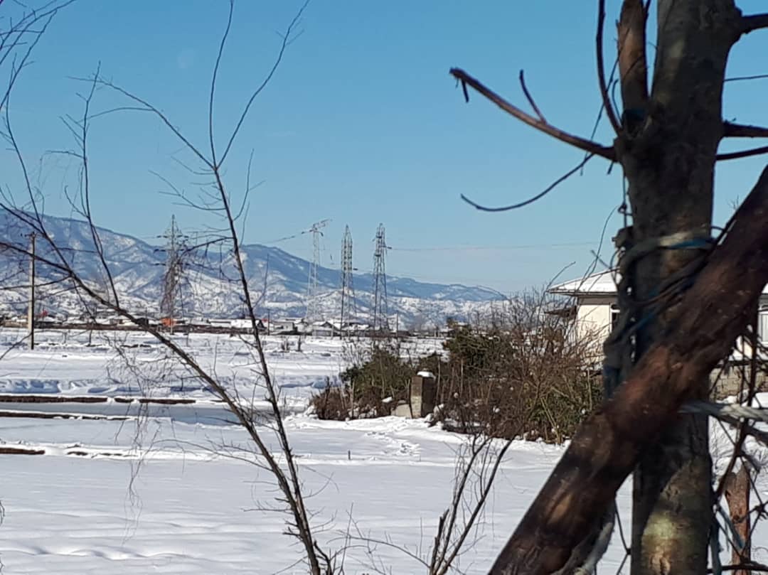 برق دار شدن بیش از ۹۹ درصد از مشترکان گیلانی