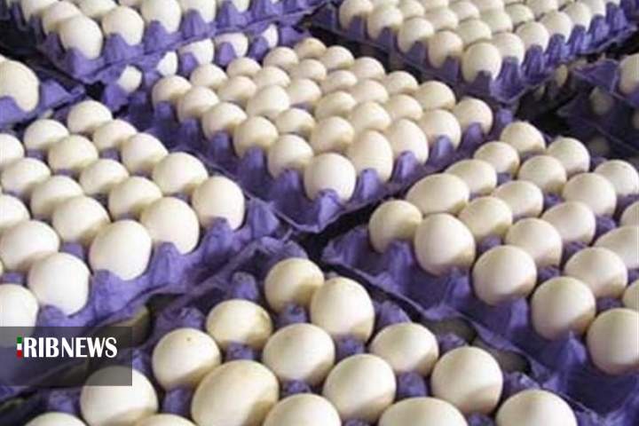 توقیف ۵۲ دستگاه تریلی حامل تخم مرغ قاچاق