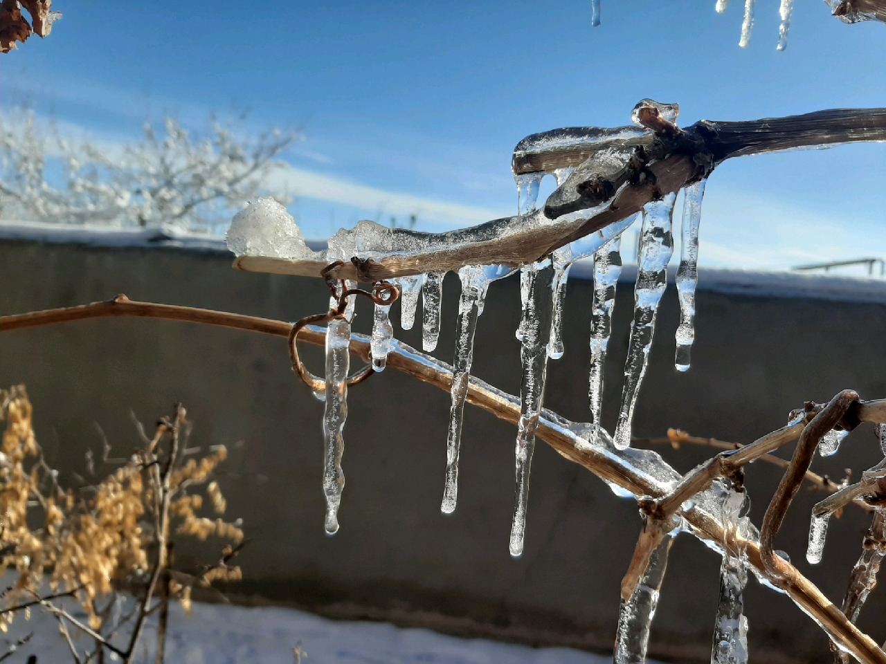 اخطاریه هواشناسی در خصوص کاهش محسوس دما و تشدید یخبندان در استان