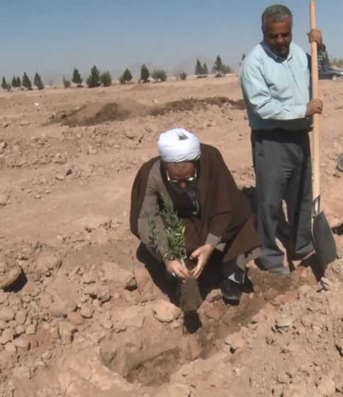 غرس ۶۰۰ نهال در کمپ گردشگری میبد